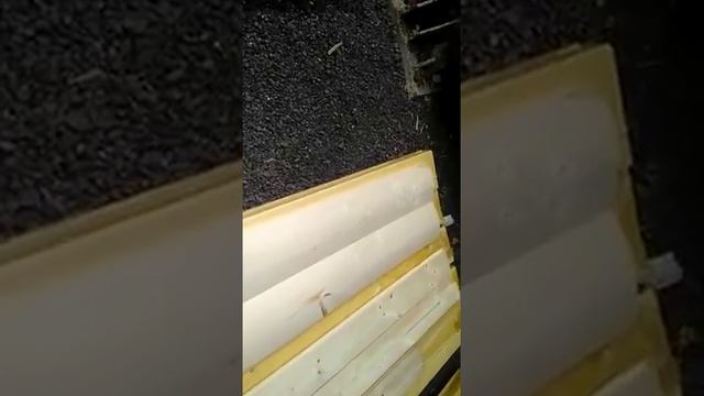 Блок хаус. Размер 36х185х6м. Сорт "АВ". Ель. В упаковке смотреть онлайн