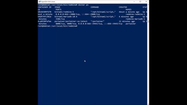 Installing Redmine on Debian 11 Bullseye / Docker Compose + Portainer смотреть онлайн