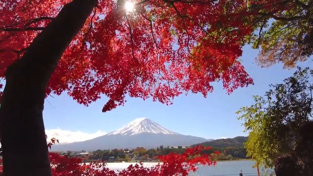 Музыка для лечения тревожных расстройств, снятия стресса • Расслабляющая музыка для глубокого сна смотреть онлайн