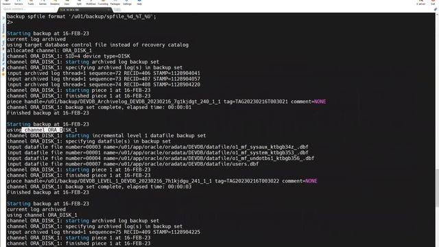 RMAN Level 0 & Level 1 Backups for DBAs смотреть онлайн