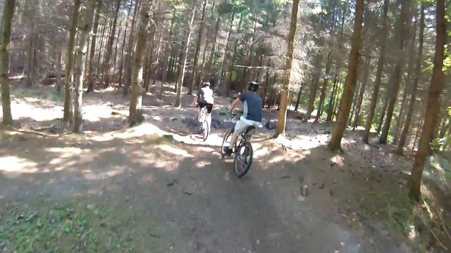 MTB Hareskov смотреть онлайн