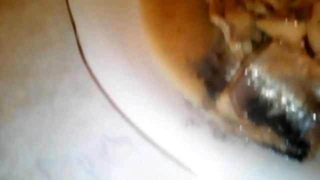 ТУШНИЧОК#14"Сельдь тихоокеанская натуральная с добавлением масла" "доброфлот" смотреть онлайн