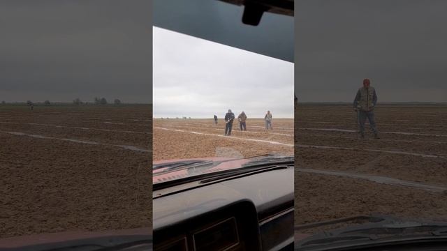 Посадка арбуза Барака семенами под пленку. 11 мая 2023 год