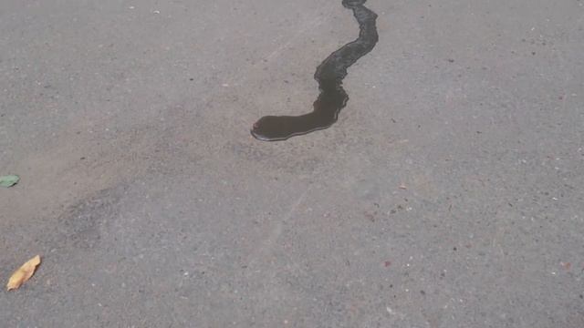 ТЕЧКА смотреть онлайн