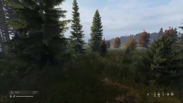 DayZ - Conquest 25+ KILLSTREAK in one life! (1440P) смотреть онлайн