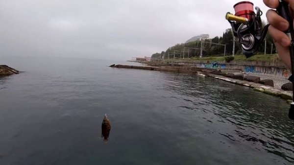 Новинка 2021 от Graphiteleader? Corto Prototype 552UL-HS. Первые впечатления