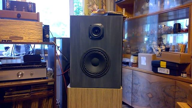 Макет трехполосной акустики на базе среднечастотного динамика НОЭМА 50гдс67. Богемная рапсодия. смотреть онлайн