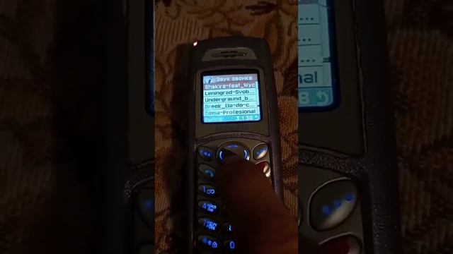 загруженые мелодии телефона Samsung C110