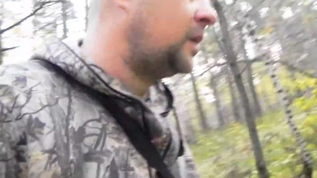 Лес за дачами. Опята смотреть онлайн