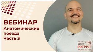 Анатомические поезда. Часть 3