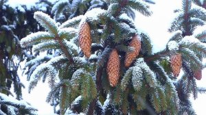 Замела метелица город мой минус