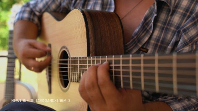 NewTone Guitars Sandstorm D. Иван Смирнов-младший смотреть онлайн