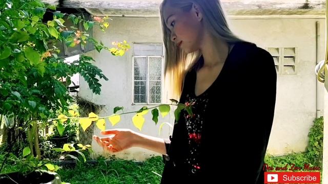 Rather Be - Clean Bandit (Cover By) Des And Zen смотреть онлайн