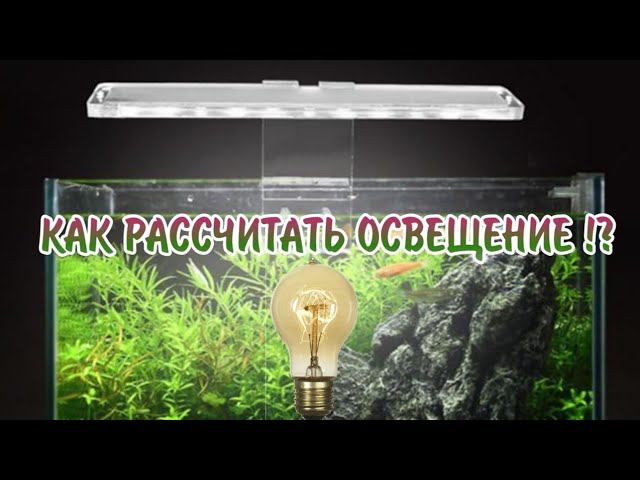 PRO АКВАРИУМ