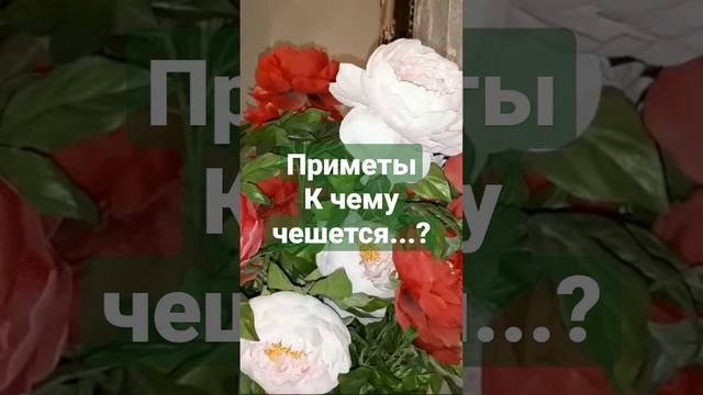 Приметы нашего тела. К чему чешется нос, губы? смотреть онлайн