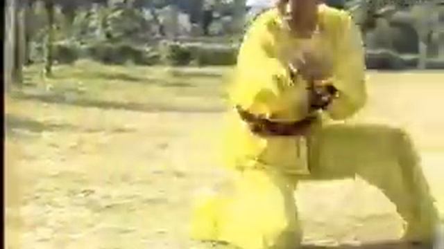 地术拳Fujian Di Shu Quan-Fujian Ground Boxing Or Dog Boxing