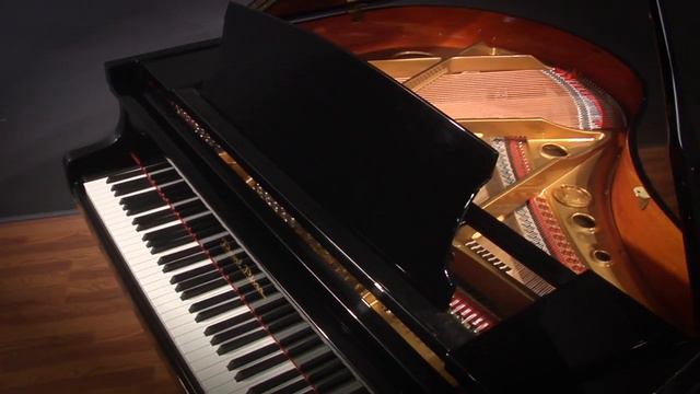 Pearl River GP-142 4'8" Baby Grand Piano смотреть онлайн