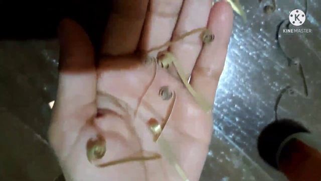 Diy 3D Quilling Angel|3D Quilled Dolls |Christmas Decoration|3d quilling angel|Quilling Angels| смотреть онлайн