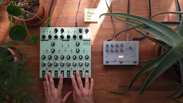 Soma Labs Lyra 8 + Hologram Microcosm Performance [No Talking] - Day 20 out of 30 смотреть онлайн