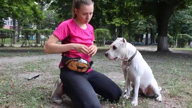Как дать таблетку - ответы на ваши вопросы смотреть онлайн
