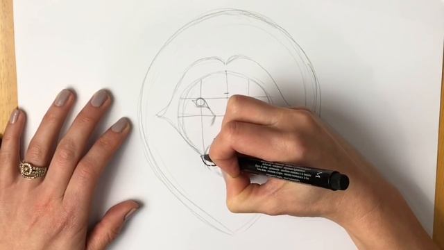 Beginners - How to Draw a Lion смотреть онлайн