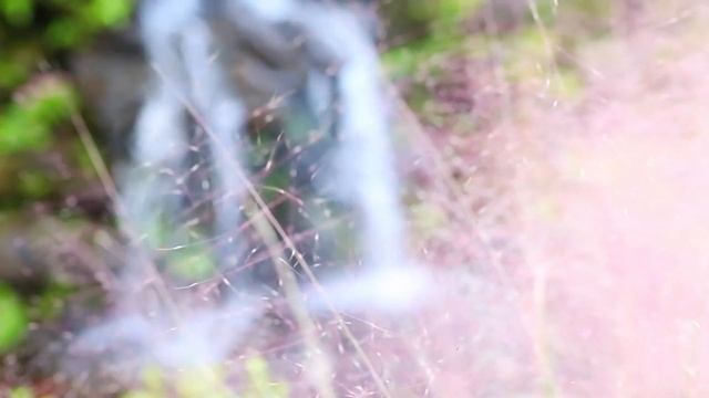 6 ПРИНЦИПОВ ОСОЗНАННОГО ЧЕЛОВЕКА, КОТОРЫЕ ИЗМЕНЯТ ВАШУ ЖИЗНЬ! смотреть онлайн