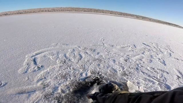 Первый лёд 2020-2021 Рыбалка в Якутии. Бешеный клёв горбатых Окуней и Щук. смотреть онлайн