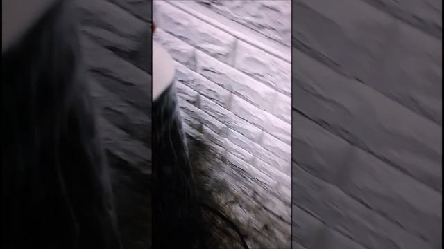 Кондиционер мобильный баасы 7000сом.Доставка КР??. 0776 022 622 0552019444 смотреть онлайн