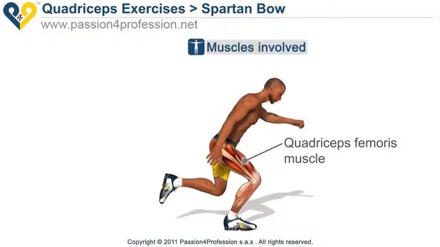 Квадрицепсы (четырехглавые мышцы бедра) - Spartan Bow смотреть онлайн