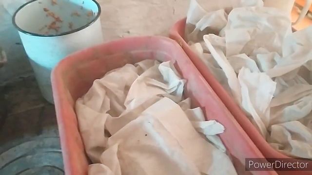 проращивание пшеницы для кур. повышает яйценоскость кур. моя деревня смотреть онлайн