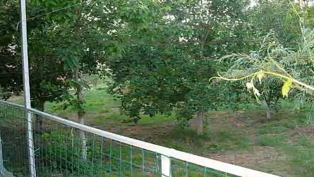 КУРОРТЫ ТАМАНИ - ОТДЫХ НА МОРЕ смотреть онлайн