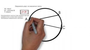 Окружность, круг, их элементы и части