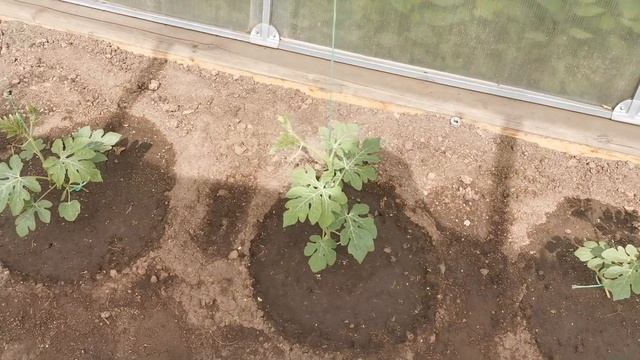 парник, нужное изобретение. смотреть онлайн