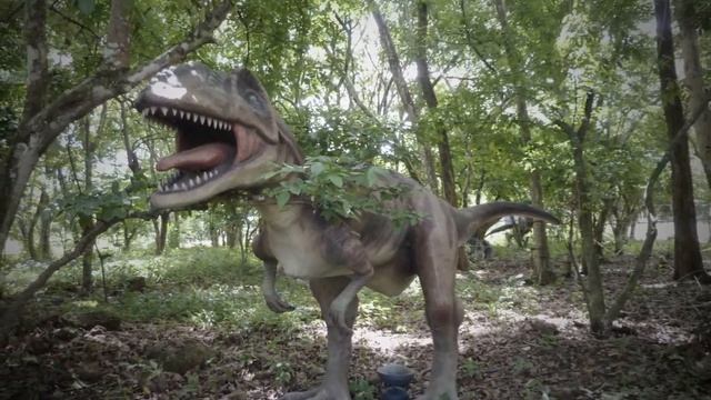 Ostrich Farm/Dinosaurs. 2014 Port Dixon. Malaysia смотреть онлайн