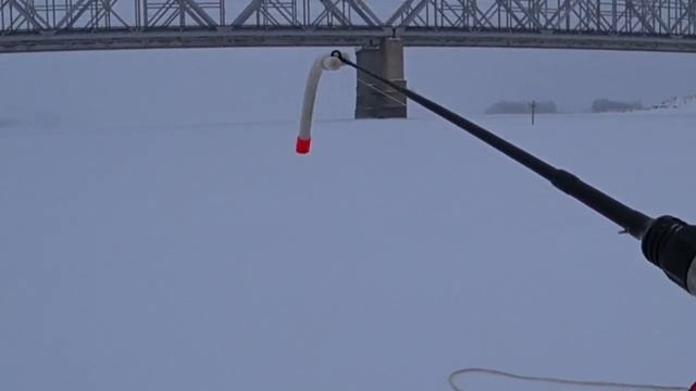 Насадил на ПРЫЩ ТЮЛЬКУ. Ловля судака зимой. Рыбалка 2022 смотреть онлайн