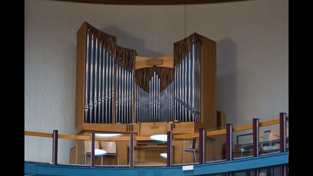 Samenzang Psalm 66 met voorspel Wim van Beek смотреть онлайн