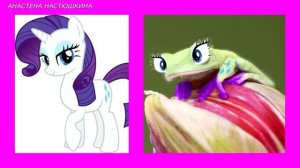 My little pony like Frogs / Мои маленькие пони в виде Лягушек