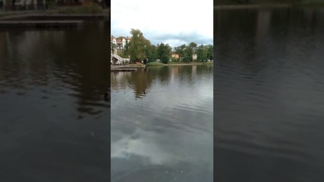 Светлогорск в октябре??♂️?♀️ смотреть онлайн