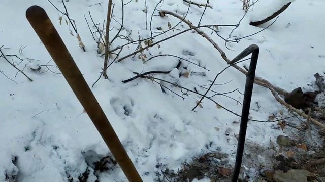 Удачный коп мд 40 30 декабрьский коп... смотреть онлайн