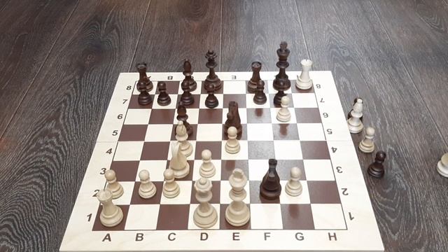 В эту шахматную ловушку попадут 90% игроков | Итальянская партия смотреть онлайн