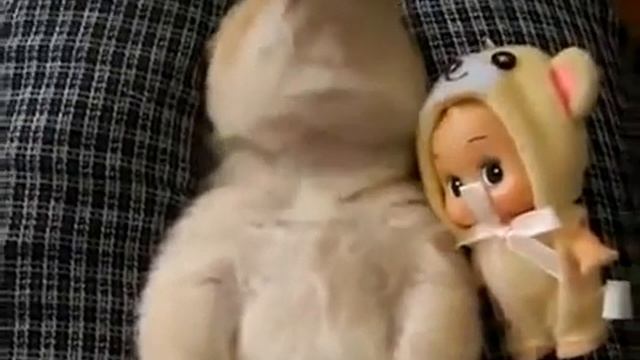 Приколы с животными Щенок разговаривает во сне XD смотреть онлайн