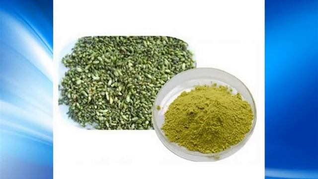 sophora japonica extract supplier/wholesale/bulk/factory смотреть онлайн