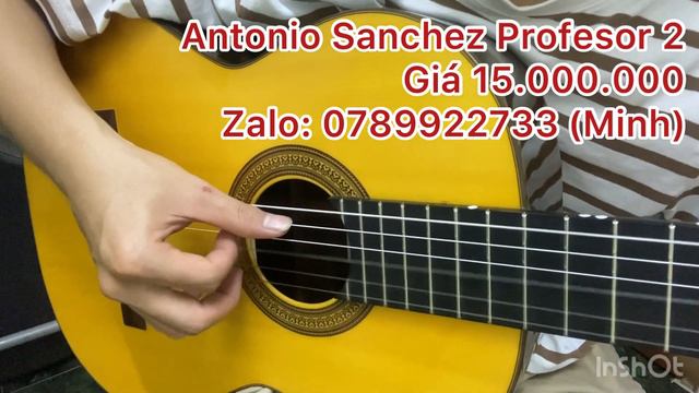 Giới thiệu Antonio Sanchez Profesor 2 (full solid) giá chỉ 15 triệu| Ngoại hình đẹp, âm cực hay смотреть онлайн