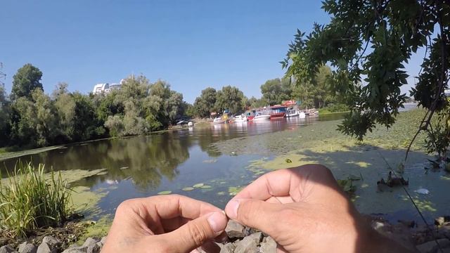 Попла-поппер всегда выручает. Рыбалка в Киеве в заливе Днепра. Августовская жара не помеха смотреть онлайн