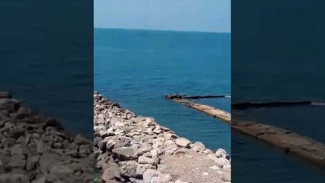 Алексей Потехин и группа Трэк-Мы едем в Сочи смотреть онлайн