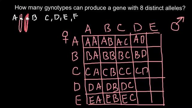 How Many Genotypes A Gene With 8 Alleles Can Produce?