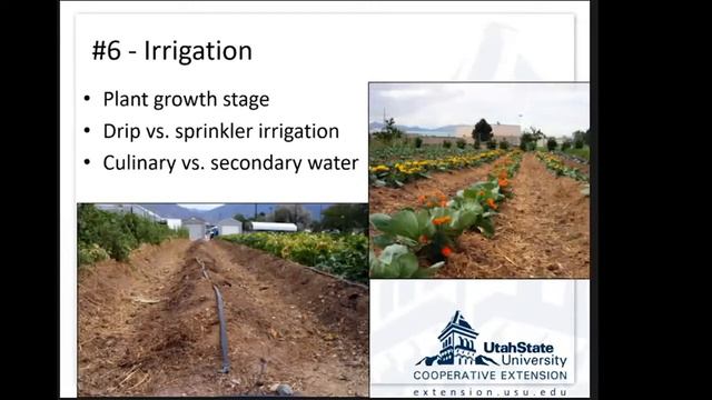 Why Garden Organically? смотреть онлайн