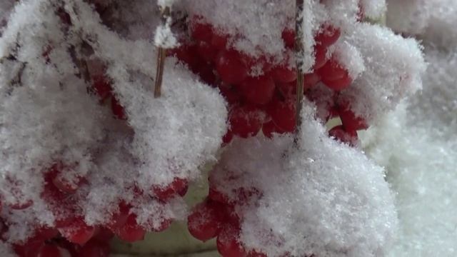 СНЕЖНЫЙ ВАЛЬС. Eugen Doga, Russian State Symphonic Orchestra Of Cinematography & Sergey Skripka