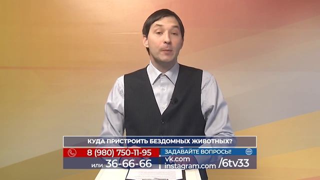 Куда пристроить бездомных животных? смотреть онлайн