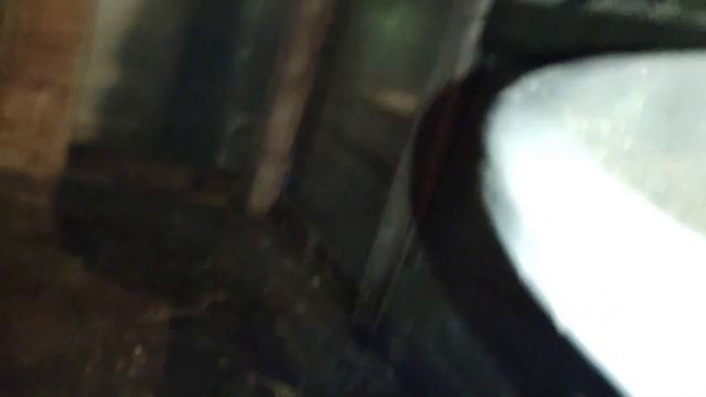 Кормежка цыплят, гусек и курочек. Моя собачка веселушка. смотреть онлайн